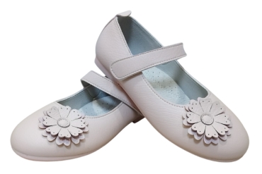 Pantofi Roz Fata