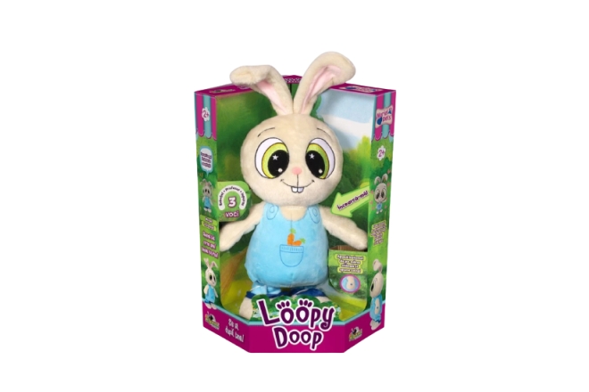   Loopy Doop