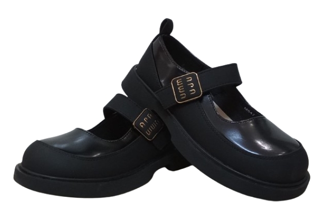  Pantofi