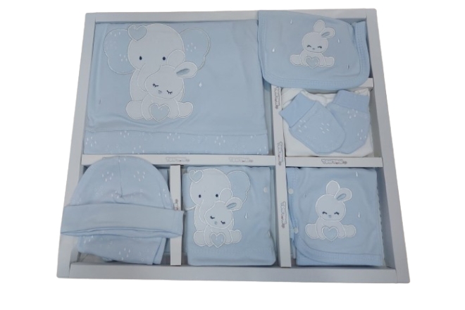  Set Bleu Maternitate Baiat