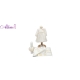 Pachet Elegant Botez Fete